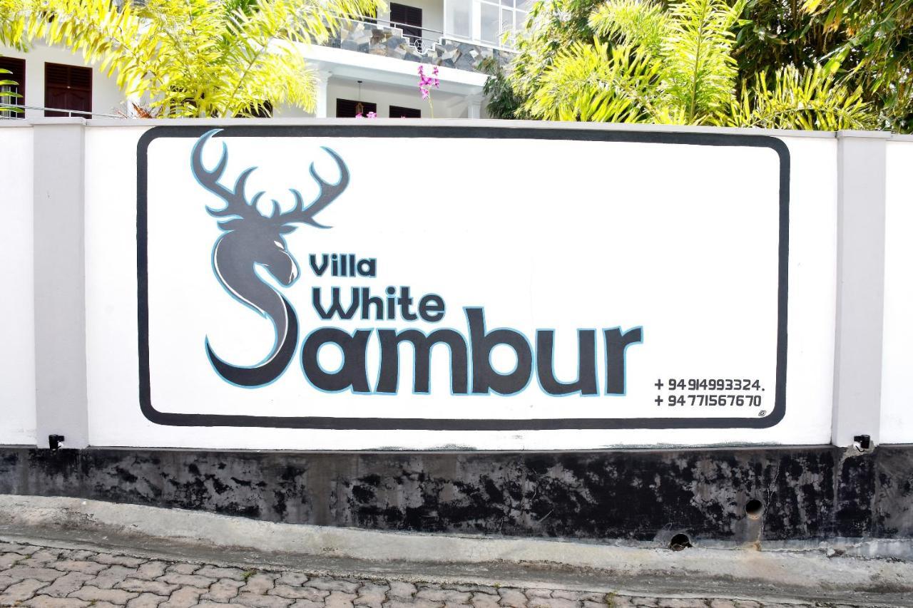 Villa De White Sambur Hikkaduwa Εξωτερικό φωτογραφία