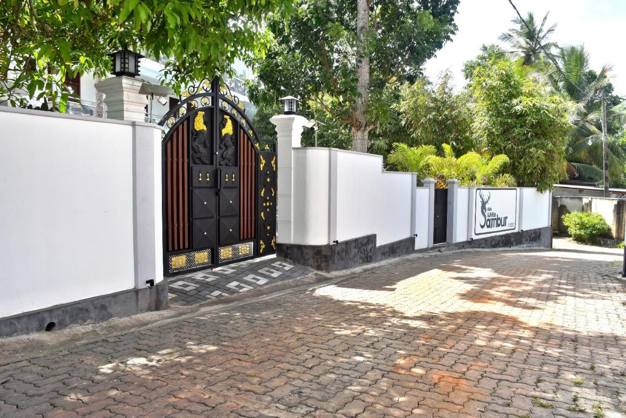 Villa De White Sambur Hikkaduwa Εξωτερικό φωτογραφία